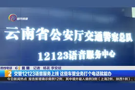 交管12123语音服务上线 这些车管业务打个电话就能办视频封面