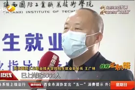 线上就业服务“不打烊”，西安一高校就业率高达81%|都市热线视频封面