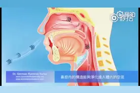 医学科普动画：仅用口呼吸都有哪些危害？