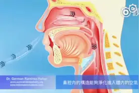 医学科普动画：仅用口呼吸都有哪些危害？视频封面