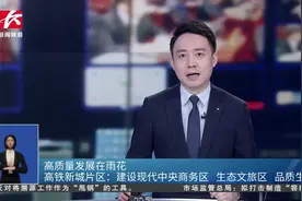雨花区最大保障性住房项目预计明年7月竣工图片