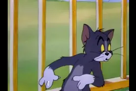 猫和老鼠：汤姆的情敌视频封面