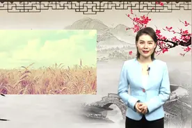 原来血型也能影响性格？血型不同性格大不同，一起来看看。视频封面
