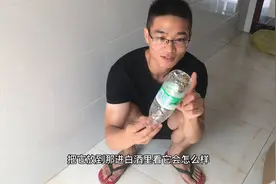 把蚂蟥放进50度白酒中，几秒后蚂蟥变成一个球，最后是喝醉了么