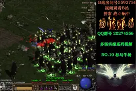【战斗蜗牛】暗黑2亚马逊攻略之标枪亚马逊刷牛场