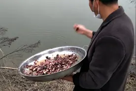 喜欢吃螃蟹的你，知道螃蟹喜欢吃什么吗？看农村小伙给螃蟹喂食
