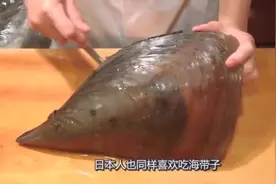 这么大的海带子你见过吗，看日本大厨如何料理