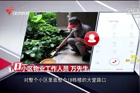 遇大蛇勿惊！广州花都区黑色大蛇闯入小区，林业部门迅速处置视频封面