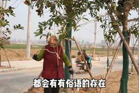 农村俗语：“男子难得三更子，女子难得正午时”，背后是啥含意？