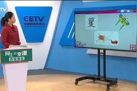 3.25 小学五年级（下） 语文：红楼春趣 丁黎黎视频封面