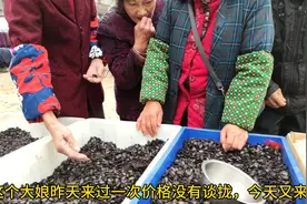 90后小伙摆摊卖瓜子第二天，销售额一直上不去，看看他一天卖多少视频封面