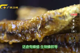 106岁黄奶奶向记者吐露她的养生零食：荞麦煎饼、蜂巢蜜，天天吃视频封面