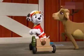 小狗汪汪队和小猫队打擂台，小猫咪个个身怀绝技，到底谁会赢视频封面