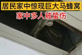 “火焰蓝”捅了老百姓家马蜂窝，大家拍手称赞图片