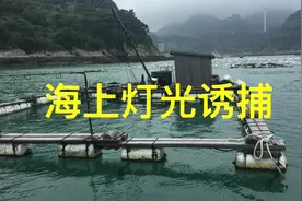 海边渔民的灯光诱捕装置，鱿鱼仔的克星视频封面