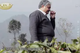 第4集07 茶·一片树叶的故事视频封面