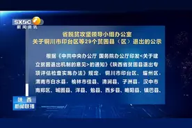 关于铜川市印台区等29个贫困县（区）退出的公示视频封面