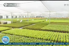 新建100个园艺园！江苏推广应时鲜果特色产业，促进农民增收视频封面