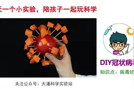 科学小实验：我是谁？DIY冠状病毒简易模型视频封面