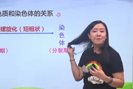 高中生物新教材必看知识点-染色质与染色体-翟思茗视频封面