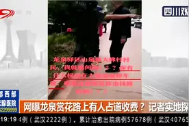 成都：网曝！龙泉赏花路上有人占道收费？记者实地探访视频封面