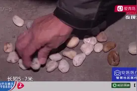 青岛一大叔珍藏“陨石”4年，市民看了却称是鹅卵石！