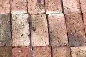 红砖做的水磨地板，没想到会这么炫酷，感觉比地瓷砖还好用！