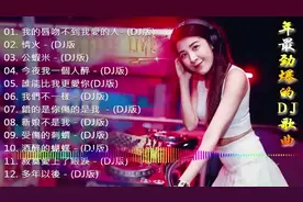 2020网络流行洗脑神曲，精选12首歌太好听了，百听不厌