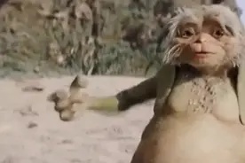 神奇生物，兔子在沙滩里游泳