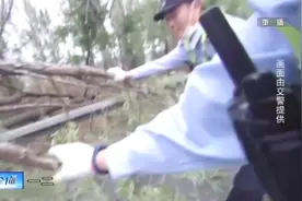 大树倒在高速上，交警为清理树枝骨裂，真是为了人民够辛苦！视频封面