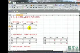 Excel2007表格制作零基础视频教程：第5讲，单元格输入数据视频封面