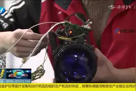 应届毕业生愁工作？线上面试找工作，千万岗位等你选！视频封面