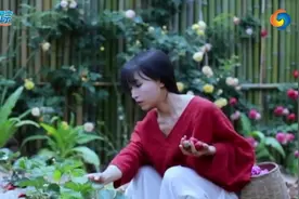 李子柒走红的背后，不吹不黑的中肯评价