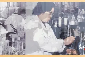 青蒿素的发现，研究