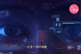 人的眼睛大概等同于什么价位的相机？2.47亿人民币！