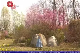 植物园今起恢复开园 凭码预约入园视频封面