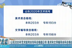 揭晓！2020年艺术类省统考专业合格线出炉，查询通道在这里视频封面