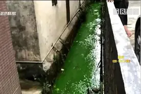 东莞发现偷排！染料染绿河水令人作呕，生态环境局迅速查处视频封面