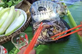 美女野外制作美食，美味烹调海味食谱-烹调技巧视频封面