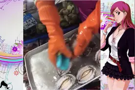 搞笑：沙雕网友表情包集合第34期 看到这个刷子我有一个大胆想法视频封面