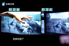 鲁豫有约：张家辉带鲁豫看特效前后的画面，这剪辑师也太厉害了视频封面