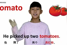 蔬菜篇tomato西红柿 牛津初高中小学少儿童英语单词和例句子 常荣