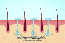 我们为什么会出汗？