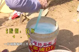 混配麻烦？糙化叶片？堵塞喷头？波尔多液应该这么用！视频封面