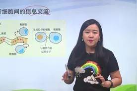 细胞膜的功能-生物必修1新教材知识点-翟思茗视频封面