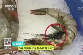 生活圈：挑选新鲜虾，专家有窍门，这几个部位一定要看准，快收藏视频封面