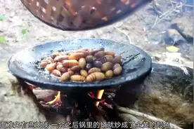 1个蚕蛹顶3个鸡蛋？农村小妹野外油炸蚕蛹，网友：肥肥的好有营养视频封面