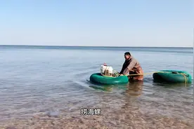 渔民大哥赶海，潜水6个小时！捕捞海螺近200斤，这的挣多少钱视频封面