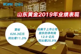 山东黄金去年业绩稳增 营收为何不及紫金矿业一半？ 丨解财报视频封面