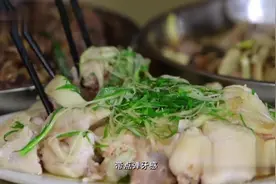 最正宗的清远白切鸡 全部散养 肉质紧致弹牙 鲜美绝伦 好吃到爆炸